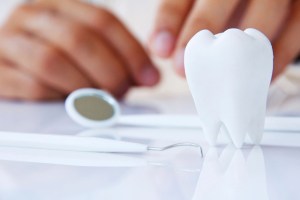 model of a tooth with dental tools on a table